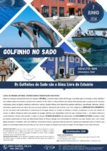 GOLFINHOS DO SADO - Image 7