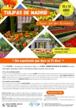 TULIPAS DE MADRID - Image 11