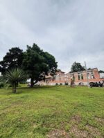 SÃO TOMÉ E PRÍNCIPE - ILHÉU DE ROLAS - Image 6