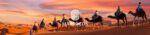 SAIDIA - Image 11